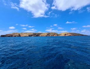 Peniche-Berlengas-subacuática-2