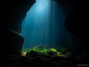 Berlengas-subacuática-cueva-1
