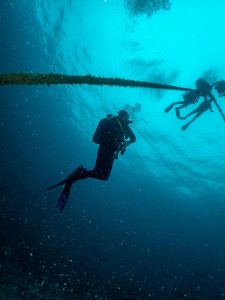 Berlengas-subacuática-buceo1
