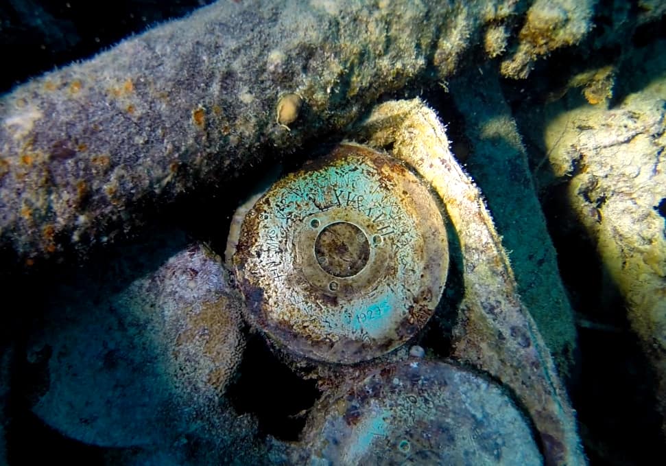 MAR-ROJO-PECIO-THISTLEGORM-OBUSES