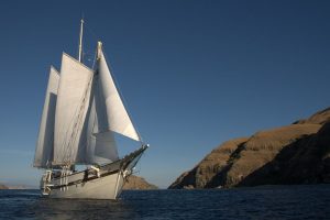 Raja-Ampat-Subacuática-Goleta-Raja-Laut-7