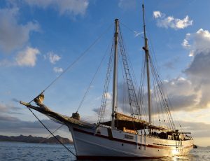 Raja-Ampat-Subacuática-Goleta-Raja-Laut-6