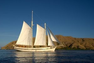 Raja-Ampat-Subacuática-Goleta-Raja-Laut-2